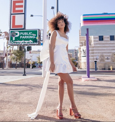 SAMPLE SALE Priscilla Dress